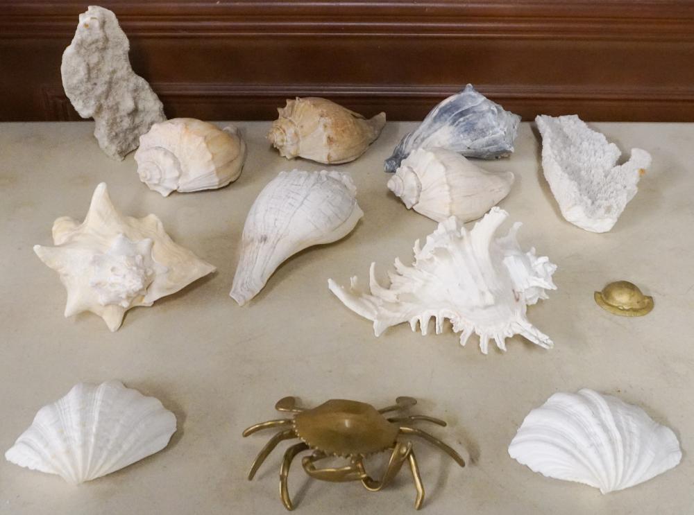 GROUP OF SEASHELLS AND OTHER OCEAN-THEMED