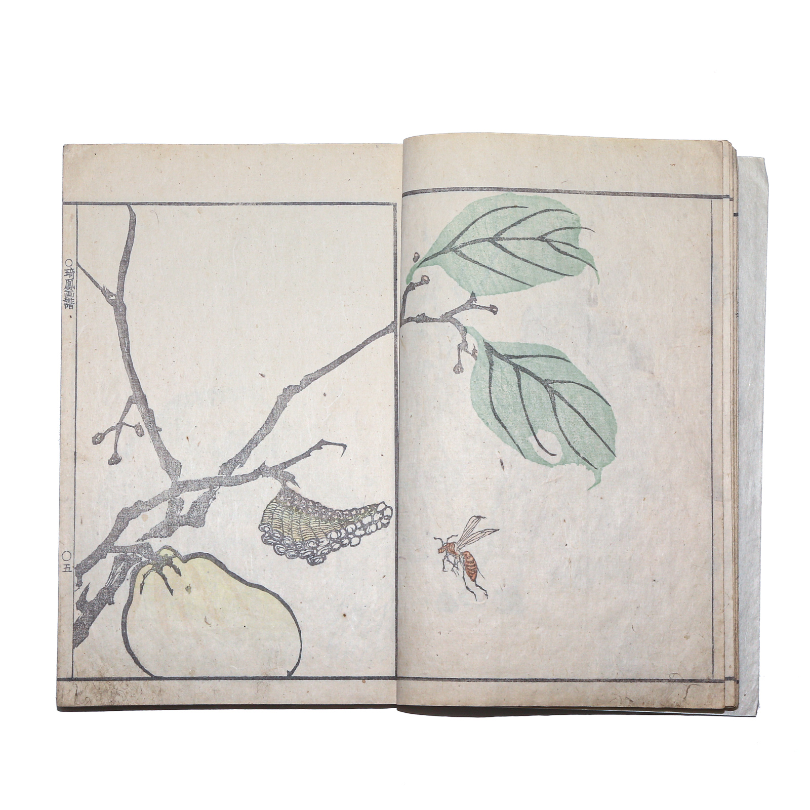 KIHO GAFU, A JAPANESE WOODCUT BOOK,
