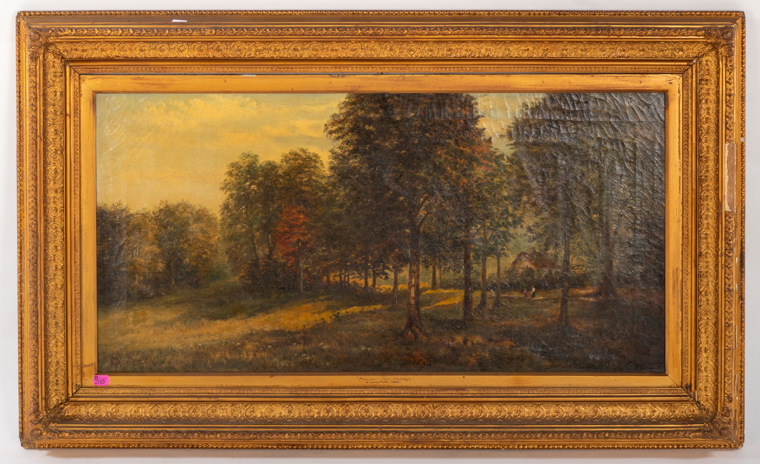 STEVEN ARTHUR GALTON LANDSCAPE  2e9ac2