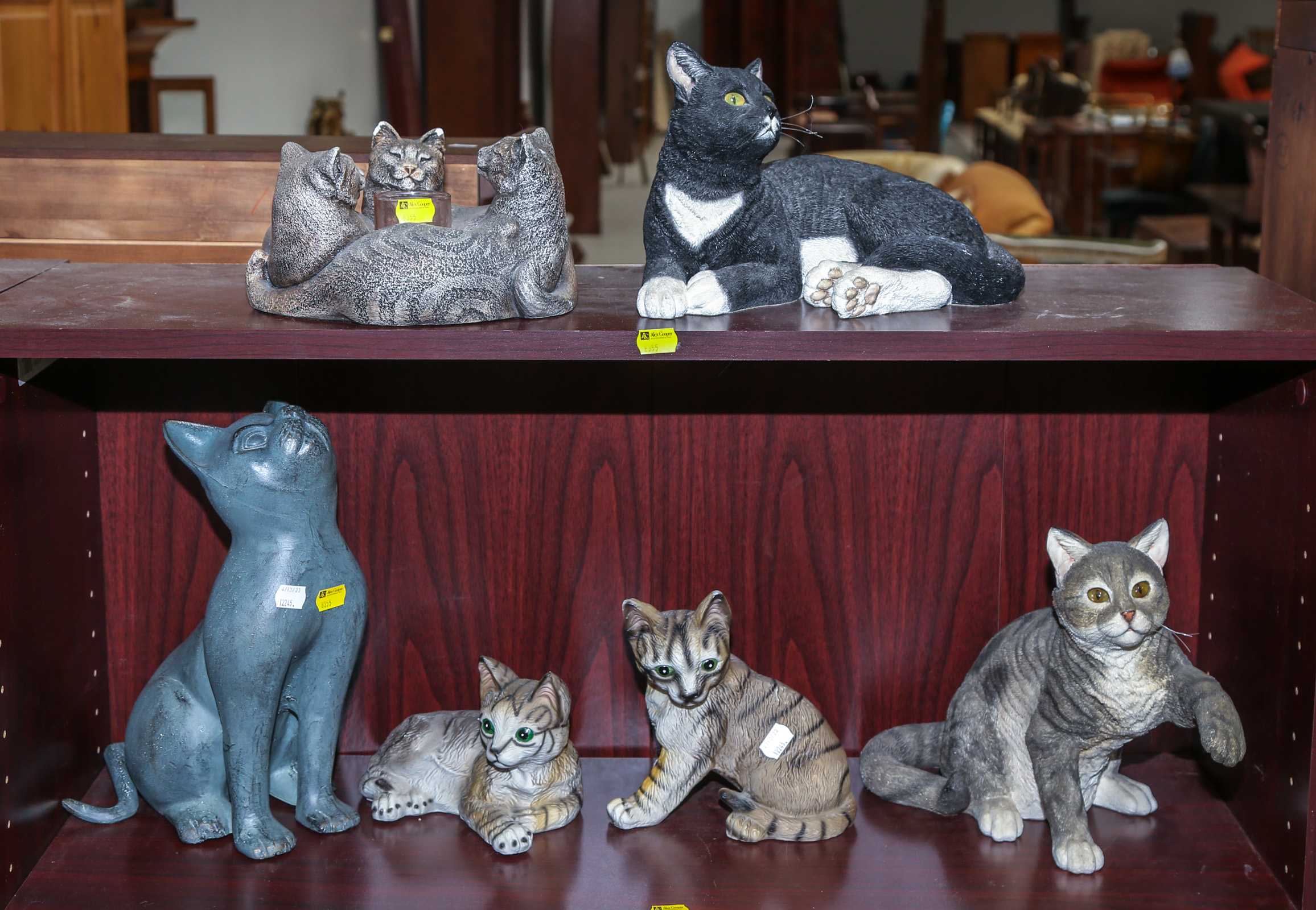 SELECTION OF SIX NATURALISTIC CAT