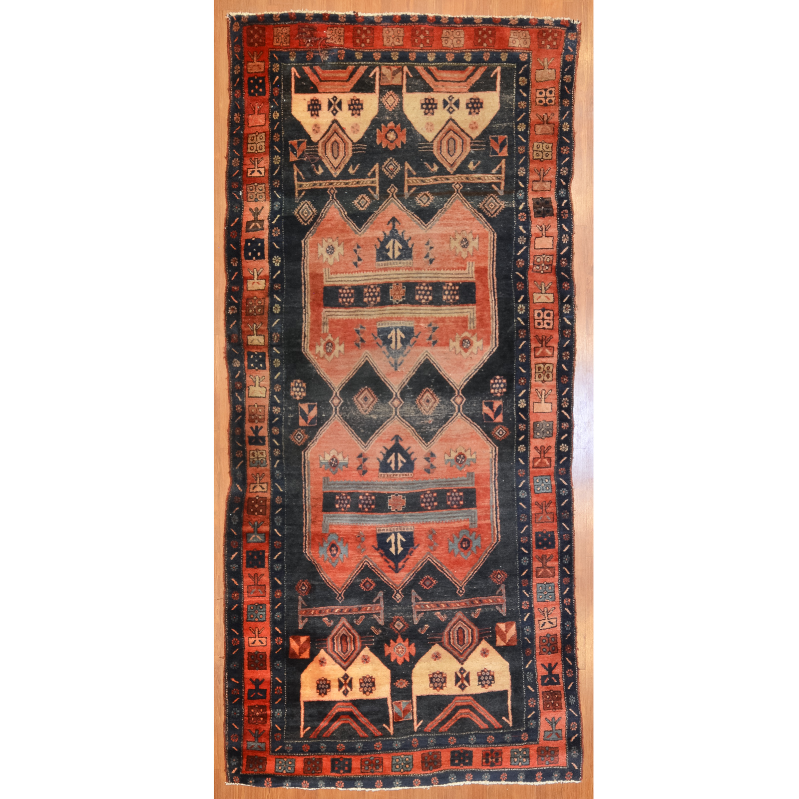 HAMADAN RUG PERSIA 4 9 X 10 3 2ea0d9