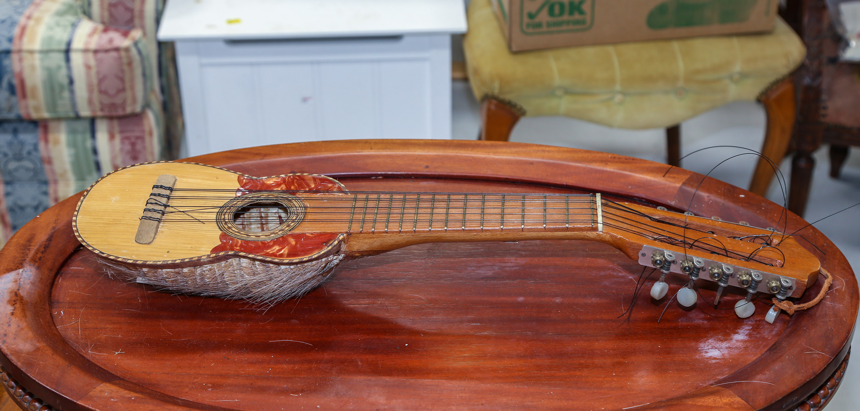 VINTAGE ARMADILLO MANDOLIN 24 in.