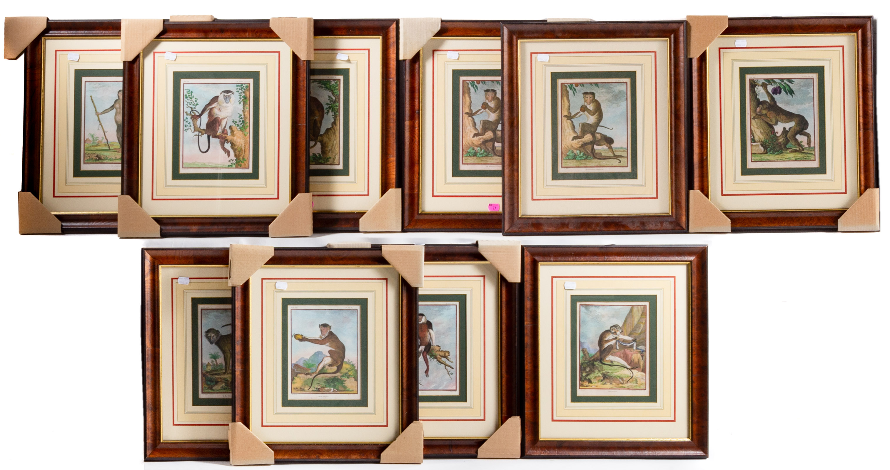 10 ANTIQUE MONKEY COLORED FRAMED 2ea7ed