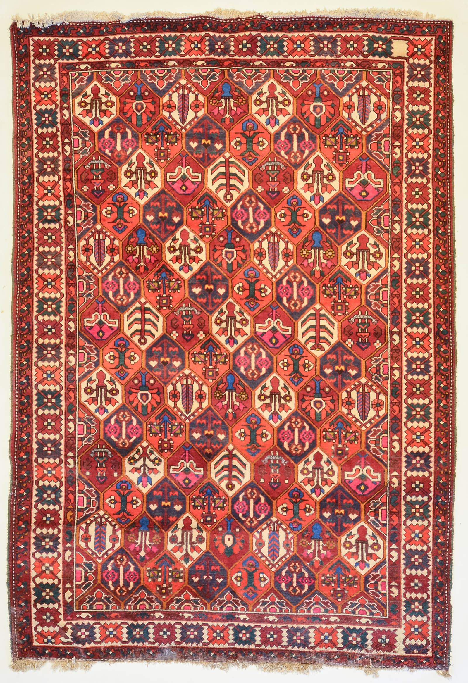 BAKHTIARI RUG, PERSIA, 6.11 X 10