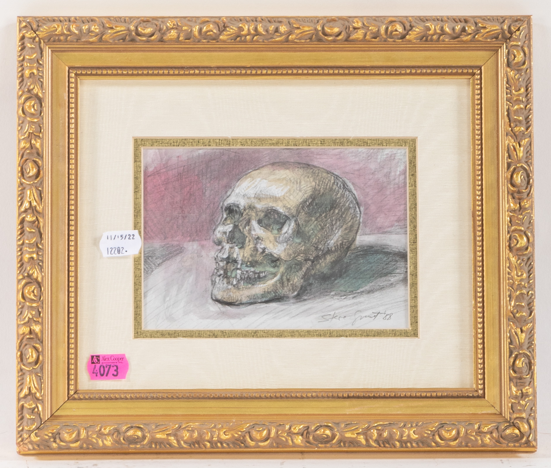 STERE GRANT. STUDY OF A SKULL,