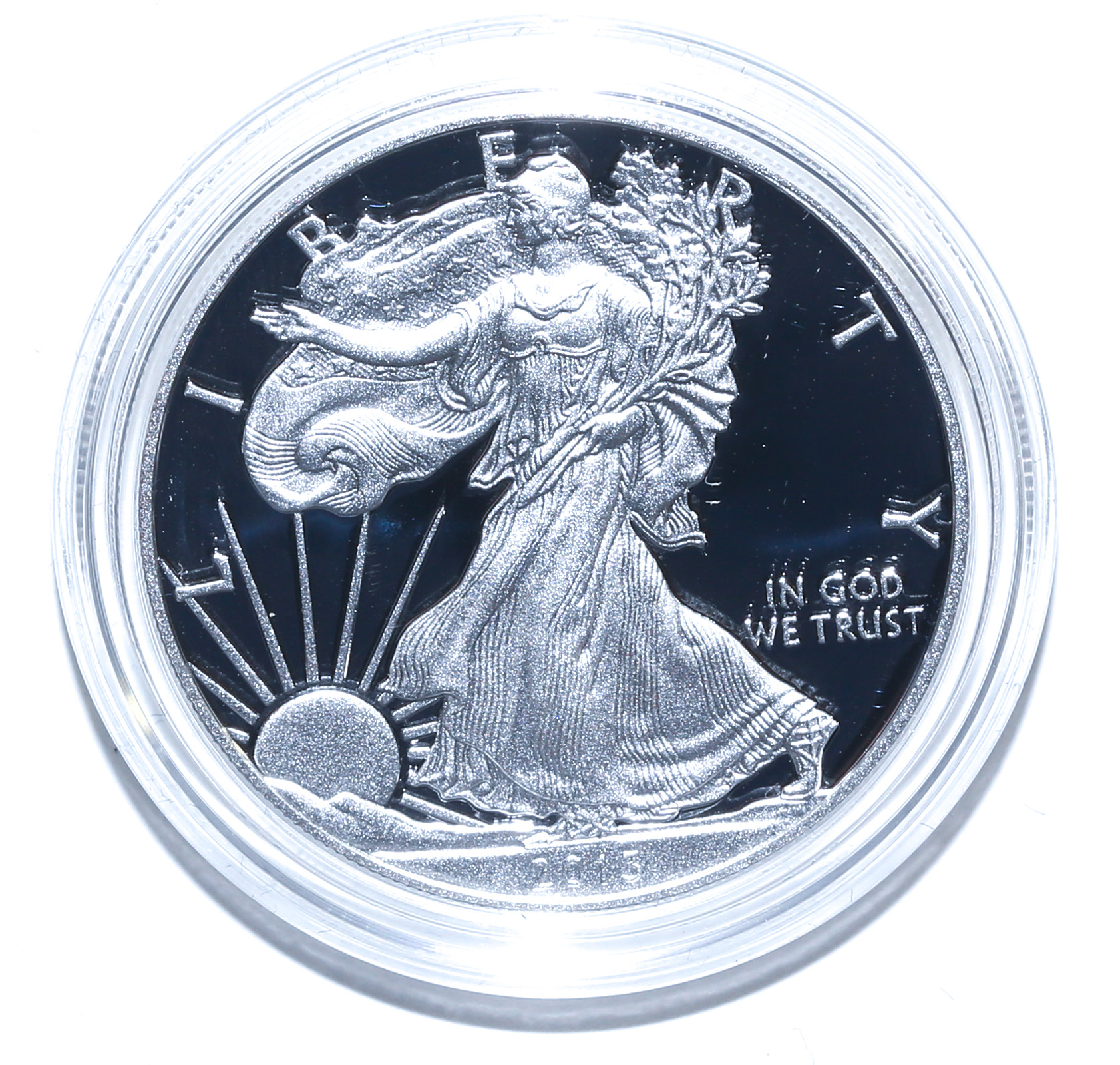 2013 W PROOF SILVER EAGLE IN MINT 2e8b92