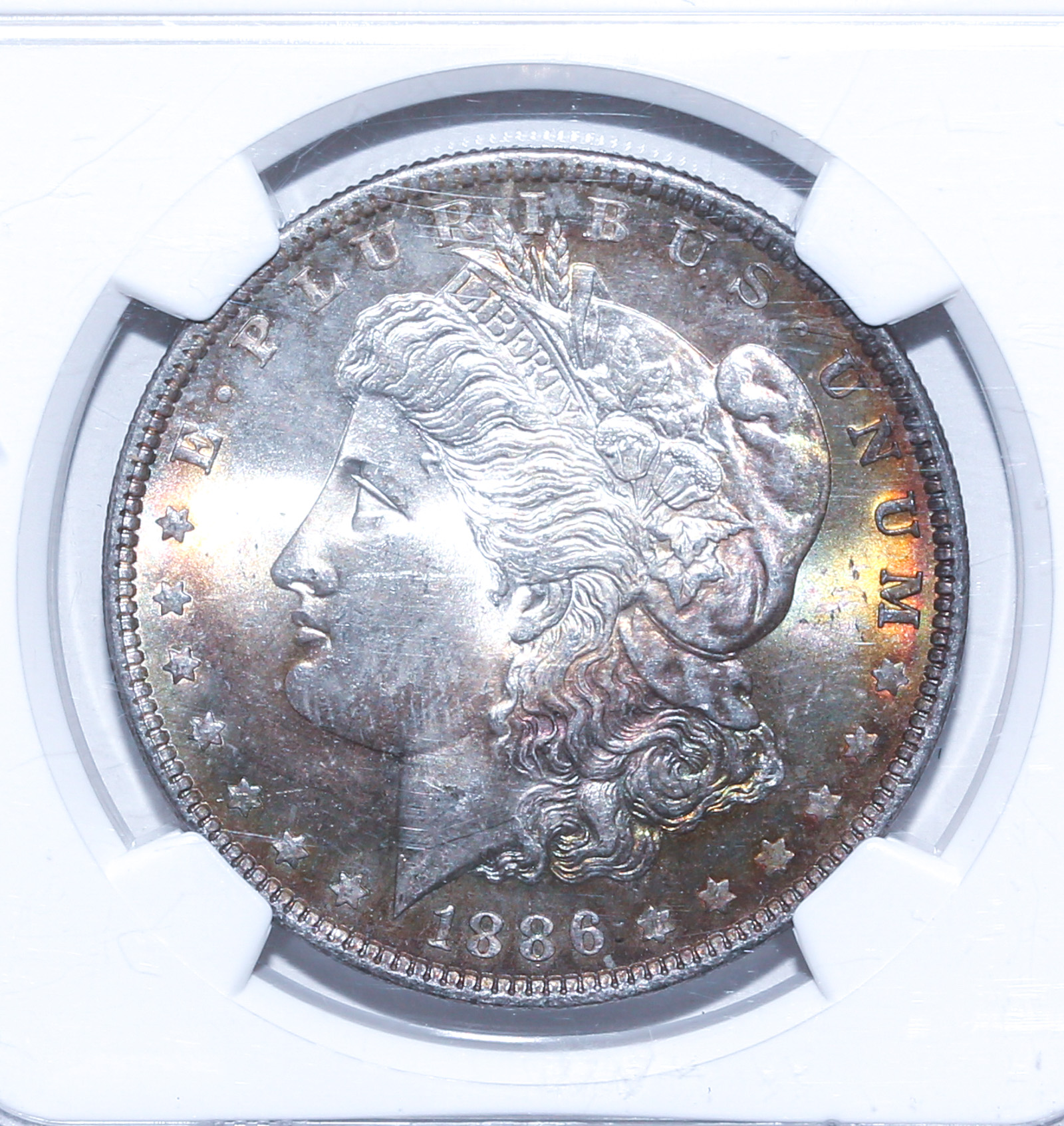 1886 MORGAN DOLLAR NGC MS64 TONER 2e8b9b