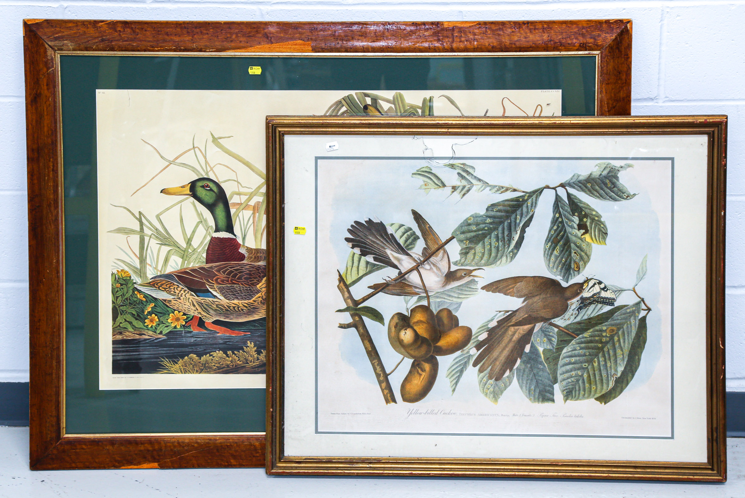 TWO BIRD PRINTS AFTER J. J. AUDUBON