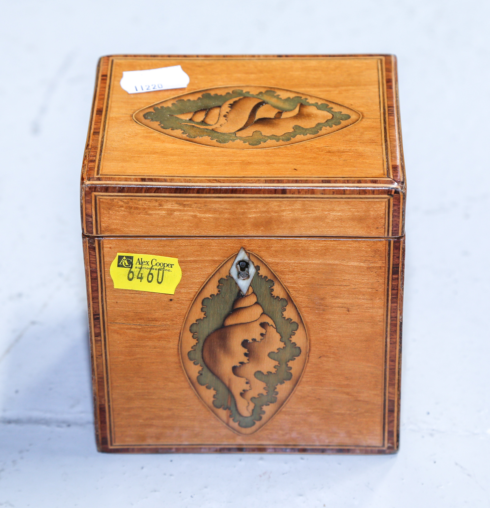 ANTIQUE ENGLISH SATINWOOD TEA CADDY