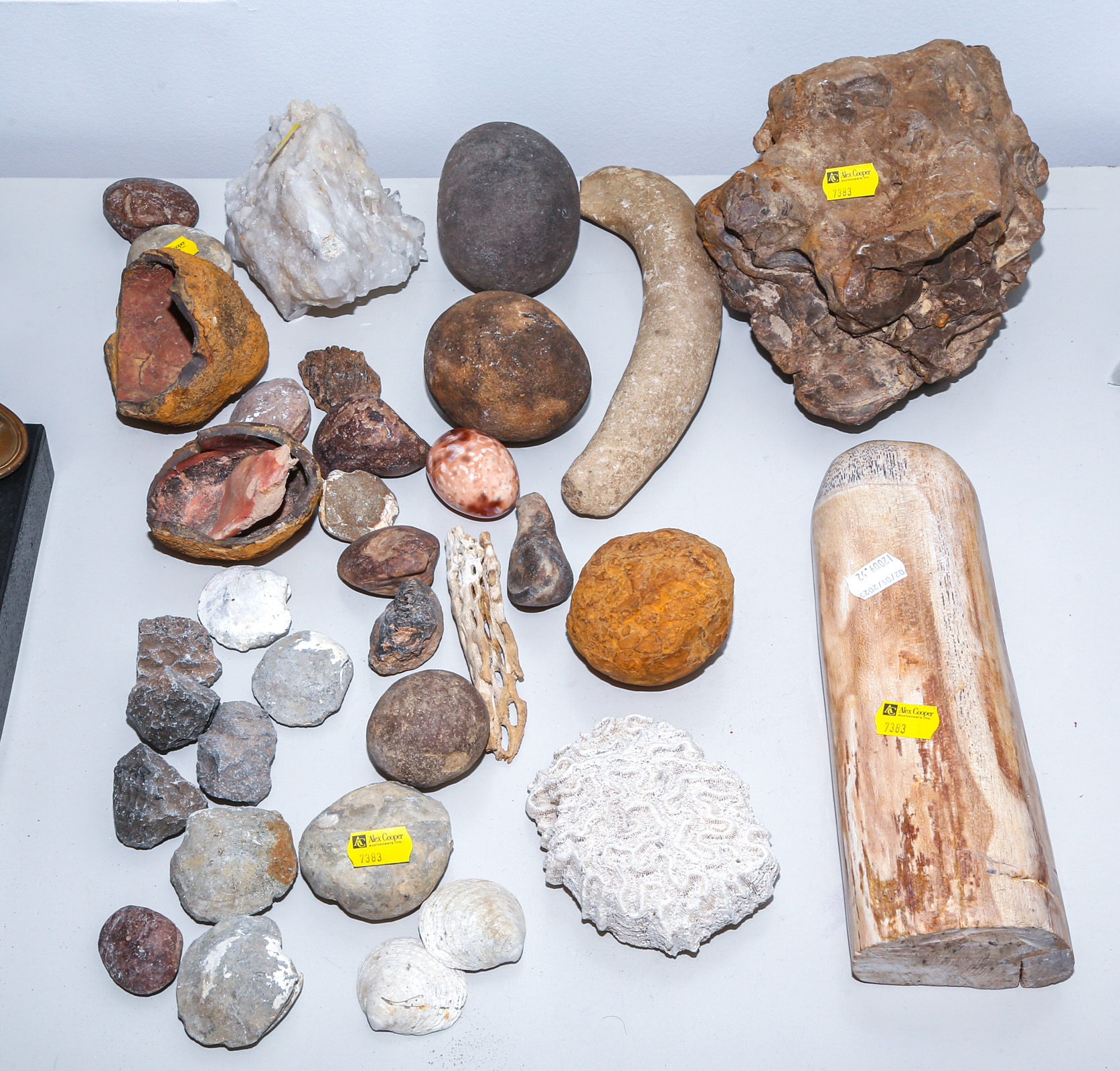 LARGE GROUP OF FOSSILS MINERALS 2e9778