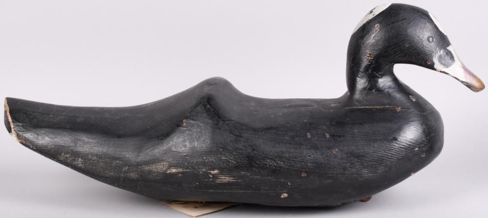 EARLY SURF SCOTER DUCK DECOY, MAINE,