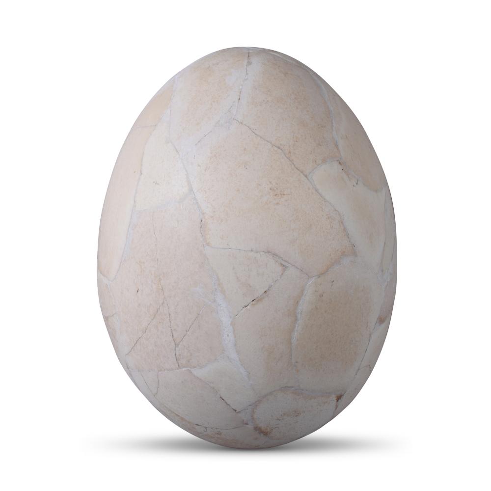 ELEPHANT BIRD EGG HEIGHT 12 1 2 2ec3a3