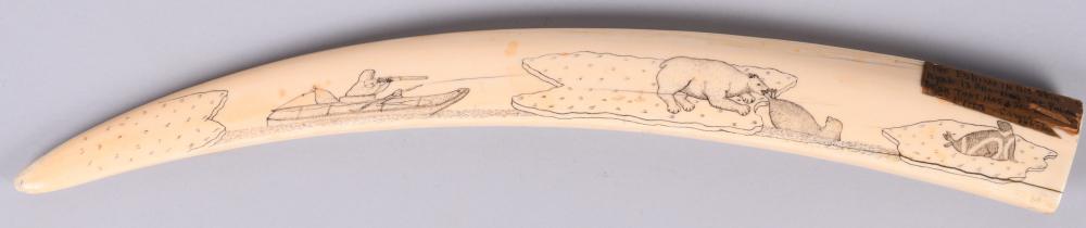 ALASKA ESKIMO ENGRAVED WALRUS TUSK,