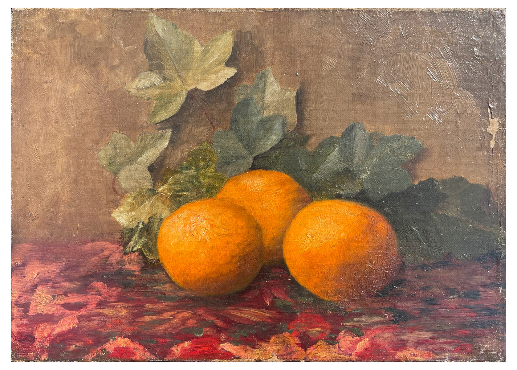 EARLY FLORIDA ORANGES STILL LIFE