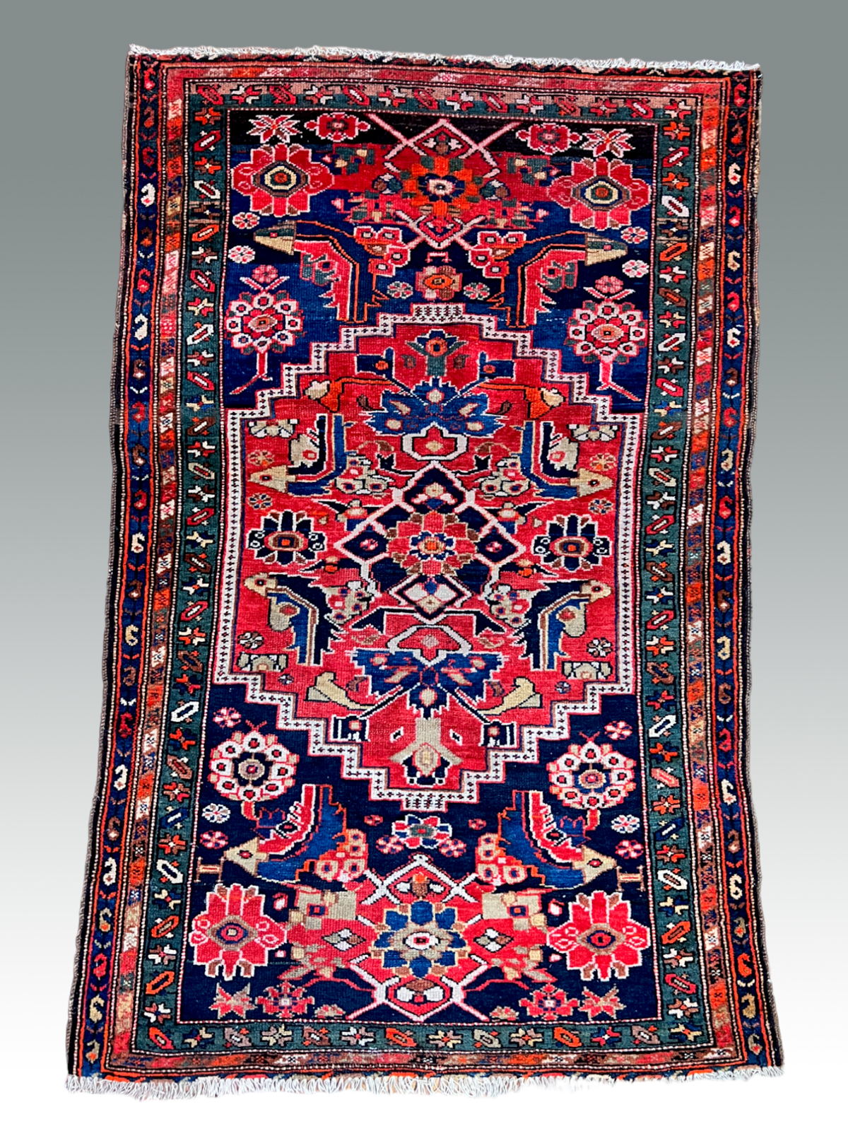 VIBRANT CAUCASIAN CARPET 3 7 5  2ecfd9