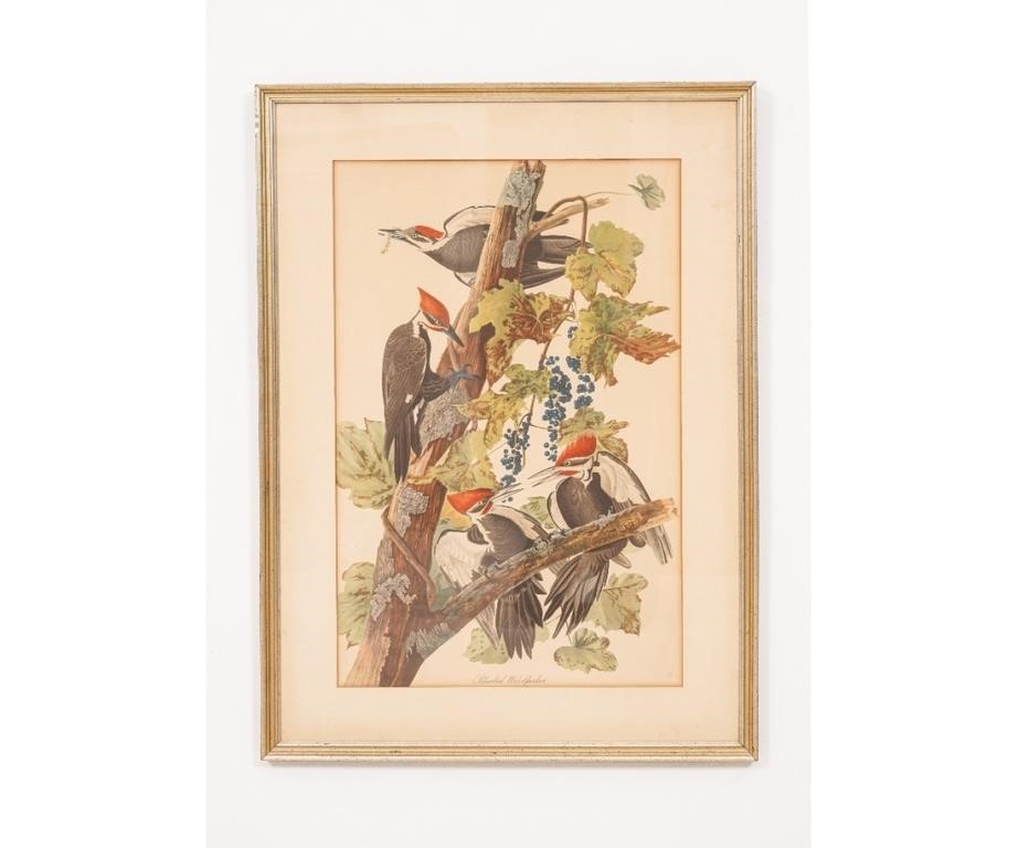 Audubon s Pileated Woodpecker lithograph  2eb889