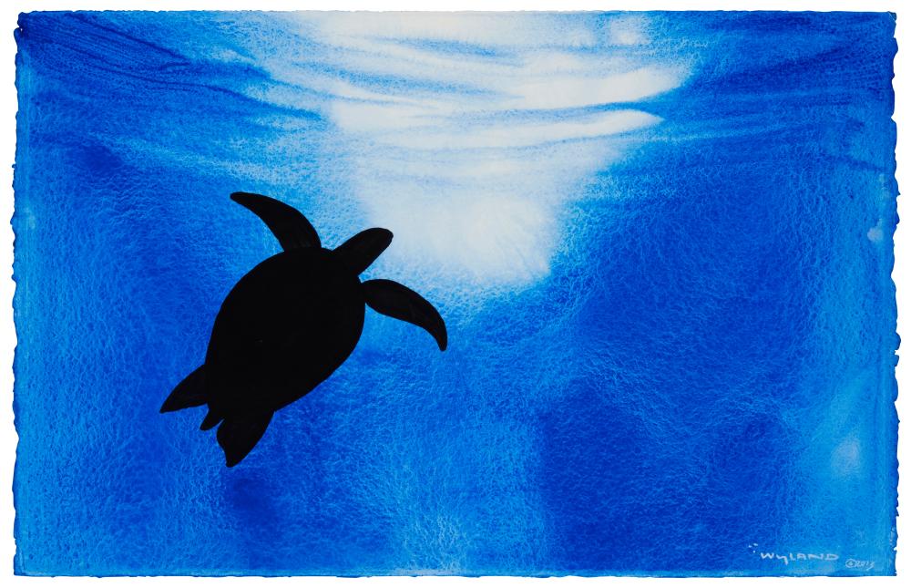 ROBERT WYLAND B 1956 TURTLE  2eede2