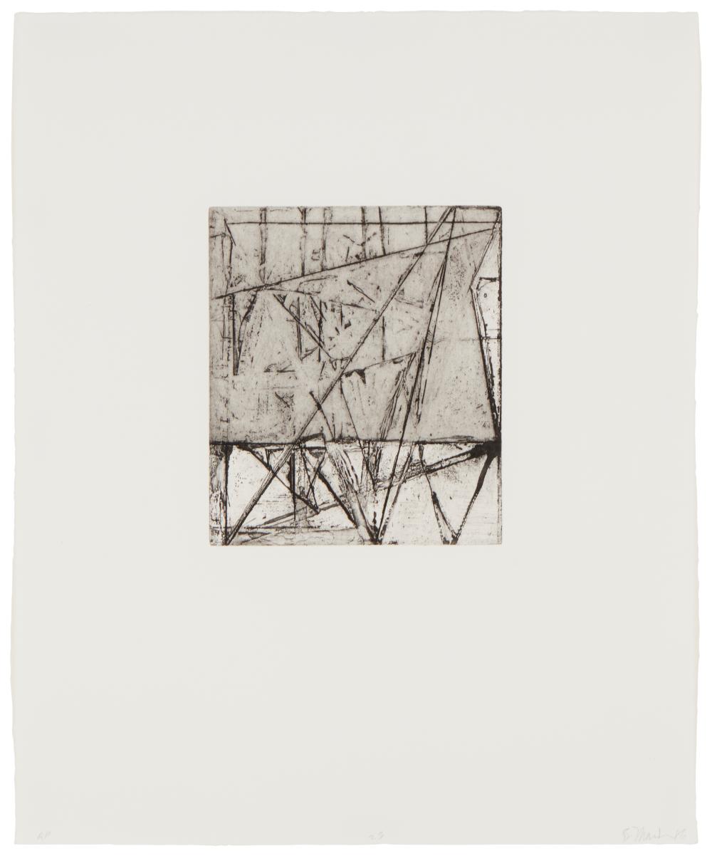 BRICE MARDEN B 1938 PLATE 25 2eefe3