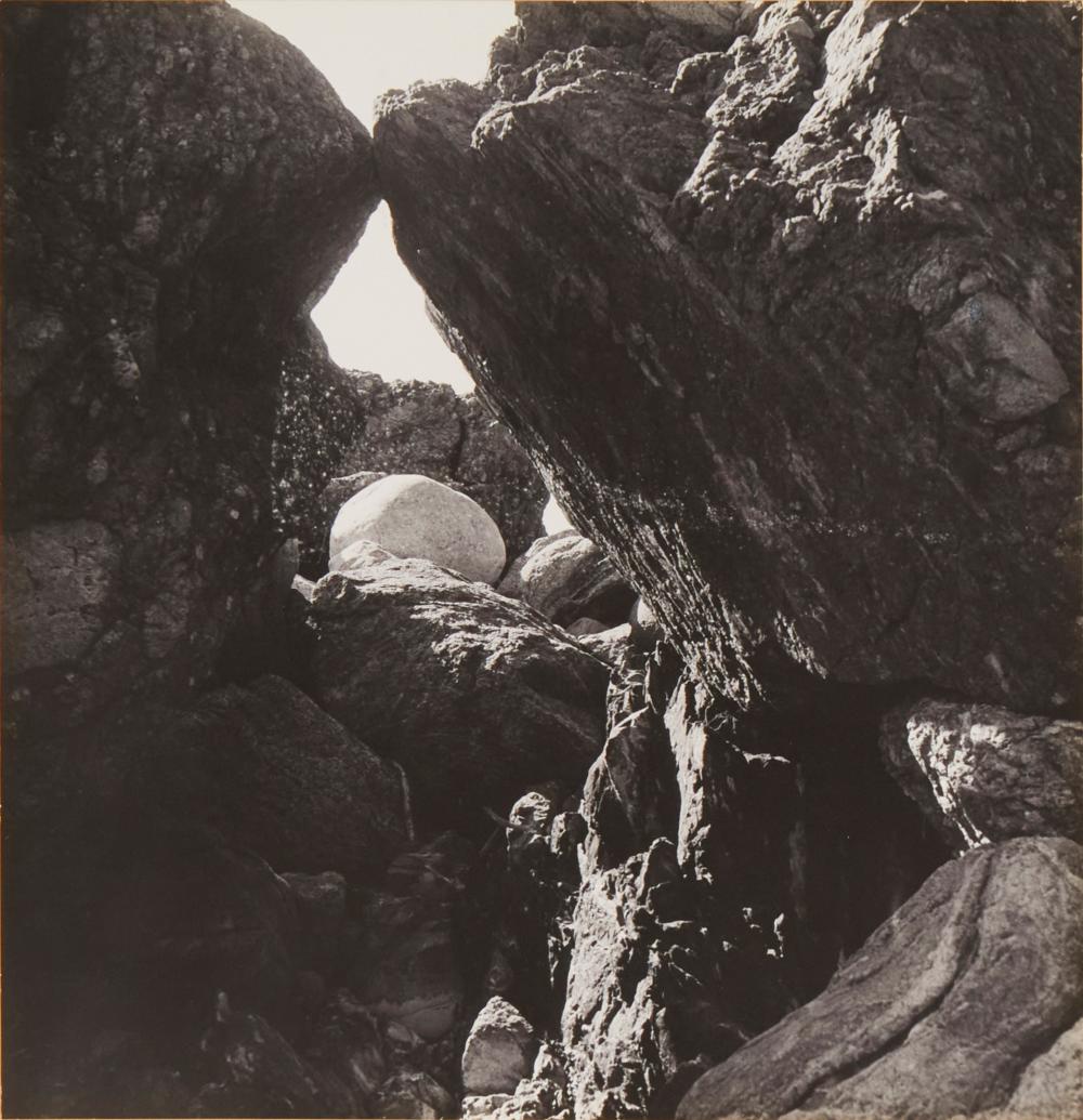 IMOGEN CUNNINGHAM 1883 1976  2ef03d