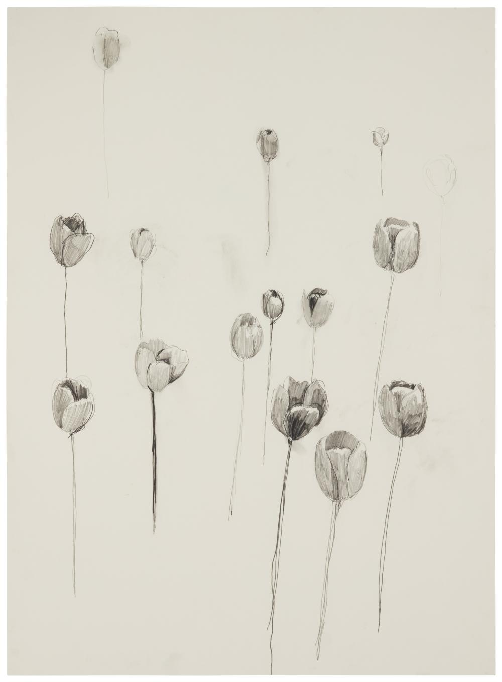 ENOC PEREZ (B.1967), TULIPS, GRAPHITE