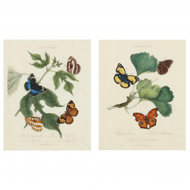 TWO BUTTERFLY ENGRAVINGS FROM EDWARD 2ef438