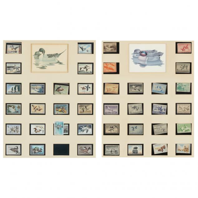 LARGE COLLECTION OF FRAMED DUCK 2ef656