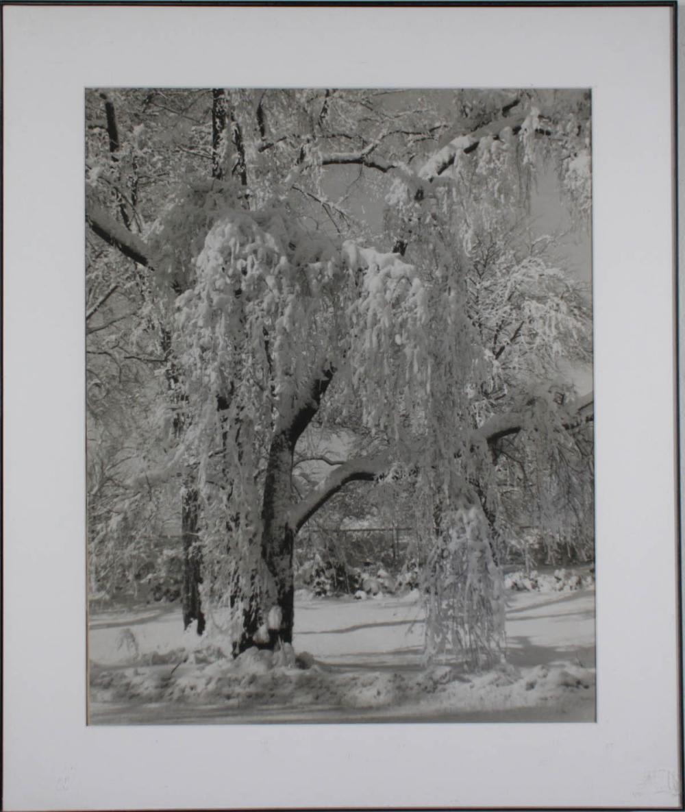 JOHN ALBOK GELATIN SILVER PRINTJOHN