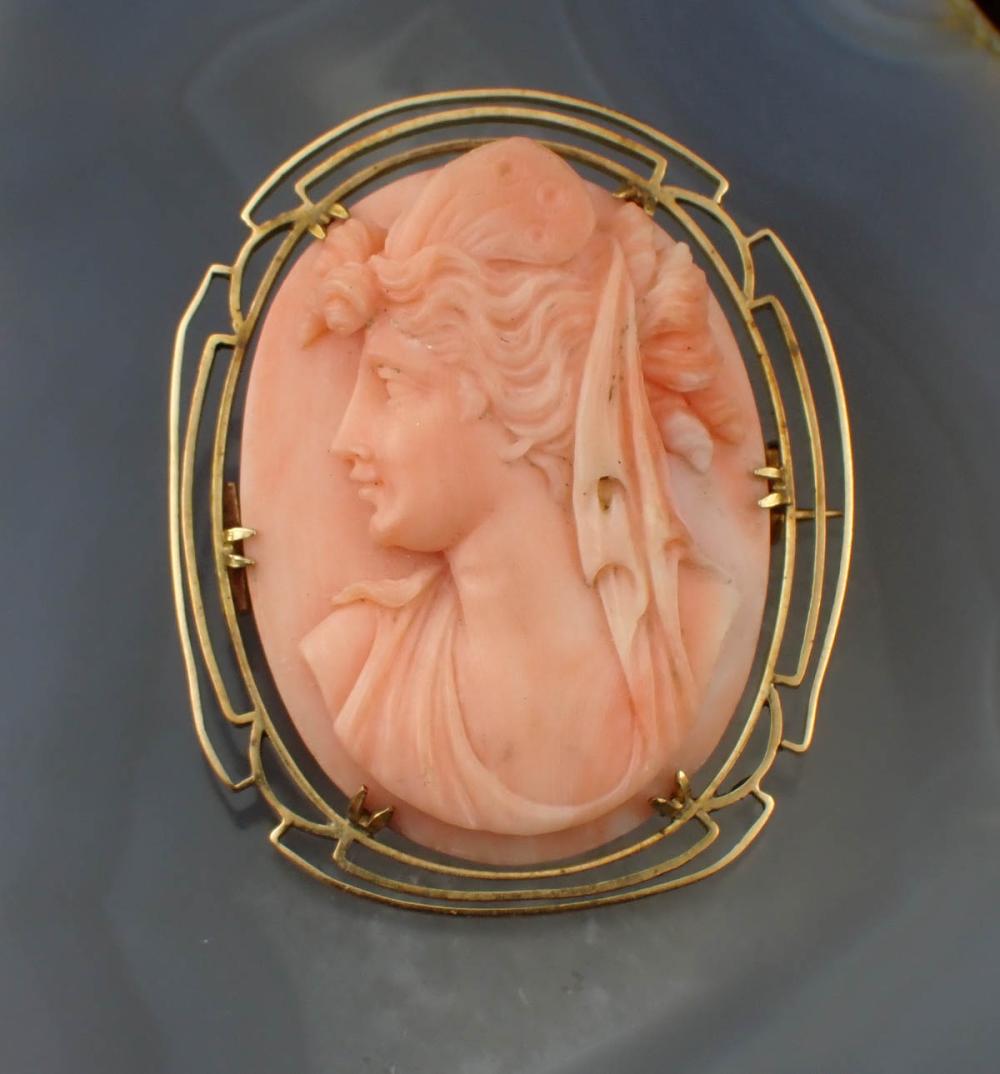 CAMEO AND FOURTEEN KARAT GOLD BROOCHCAMEO