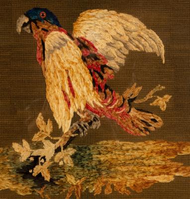A needlework picture of a parrot  2ee2f1