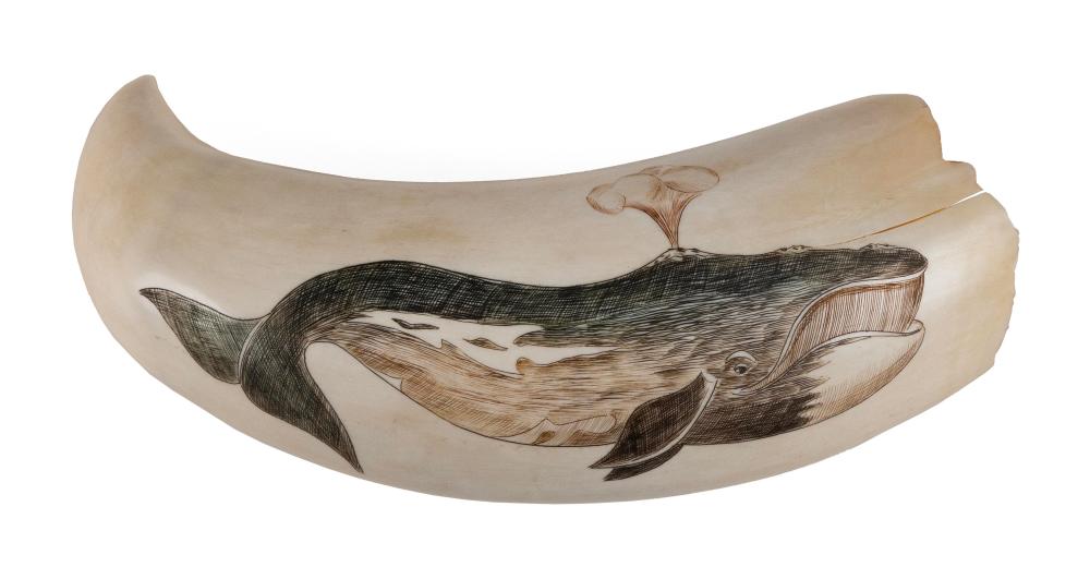 * POLYCHROME ENGRAVED WHALE'S TOOTH