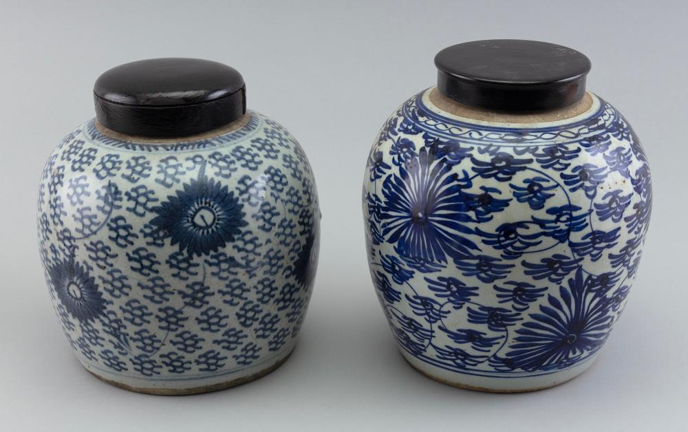 TWO CHINESE BLUE AND WHITE   2f1169