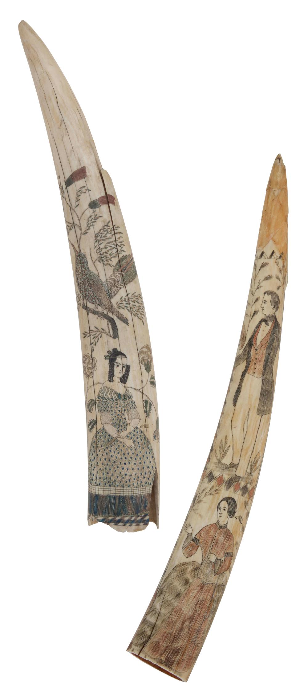 TWO POLYCHROME SCRIMSHAW WALRUS