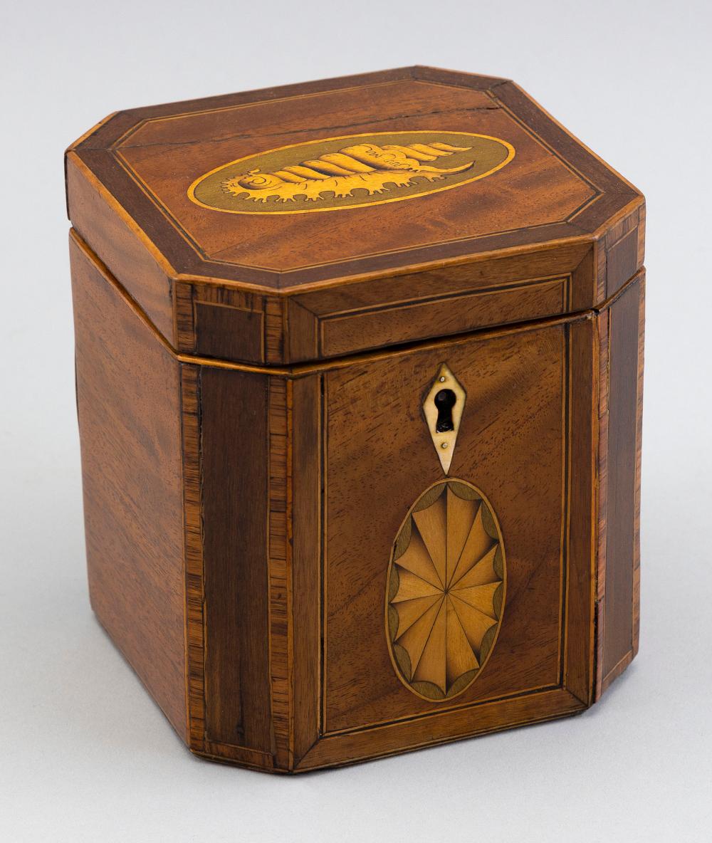 ENGLISH TEA CADDY 19TH CENTURY 2f15cd