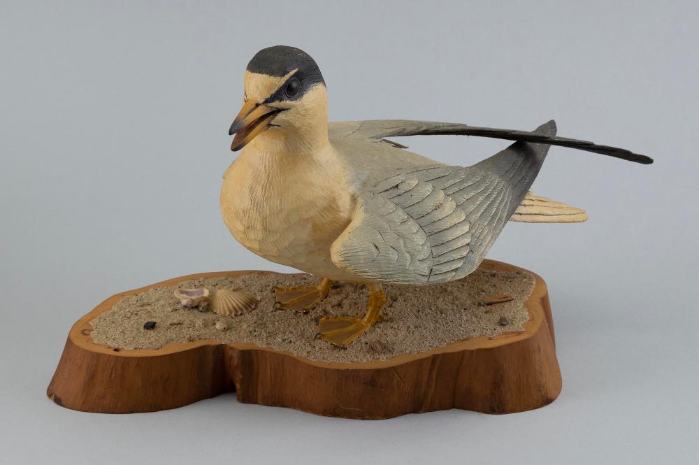 STAN SPARRE LIFE-SIZE LEAST TERN