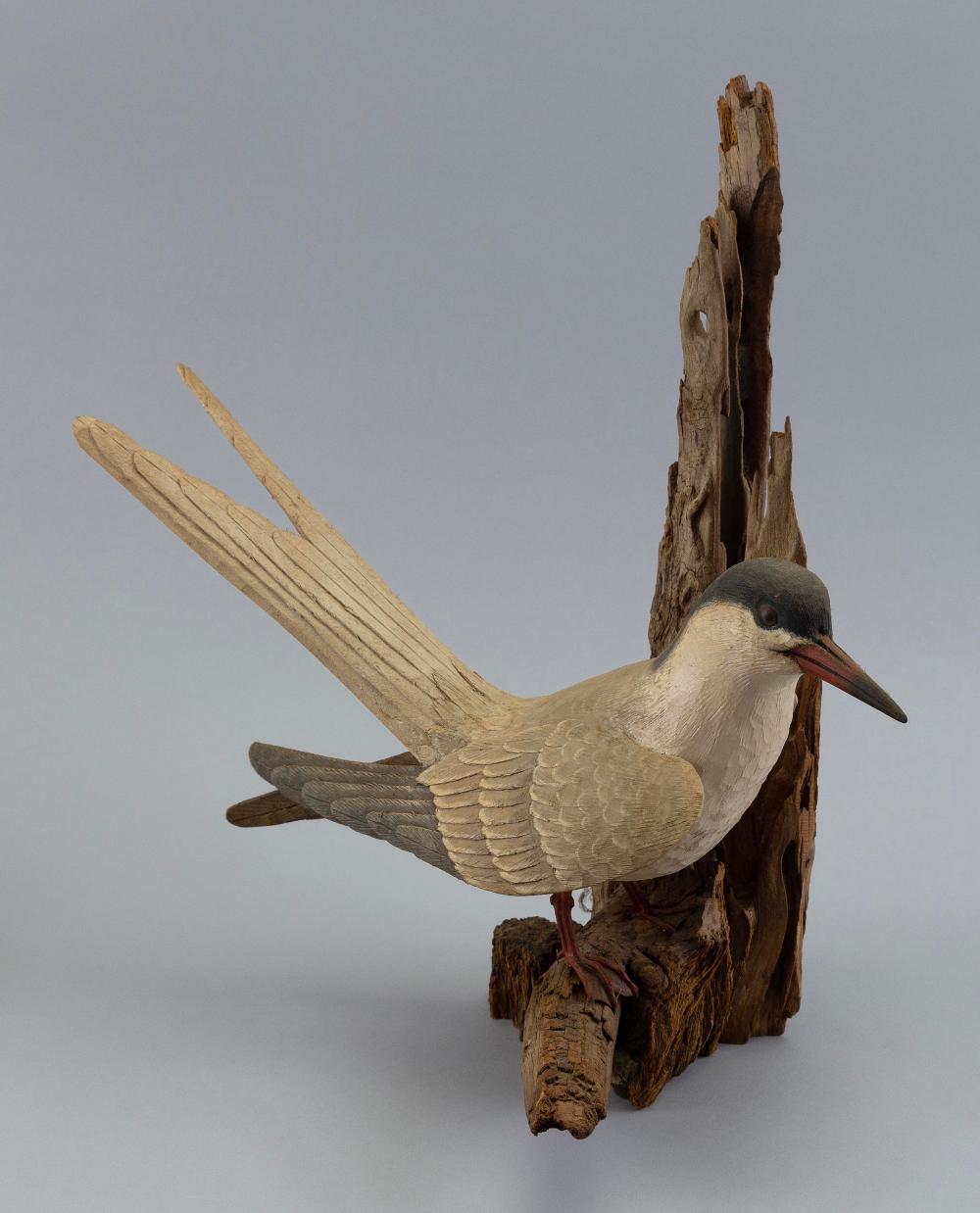 STAN SPARRE LIFE SIZE COMMON TERN 2f189c
