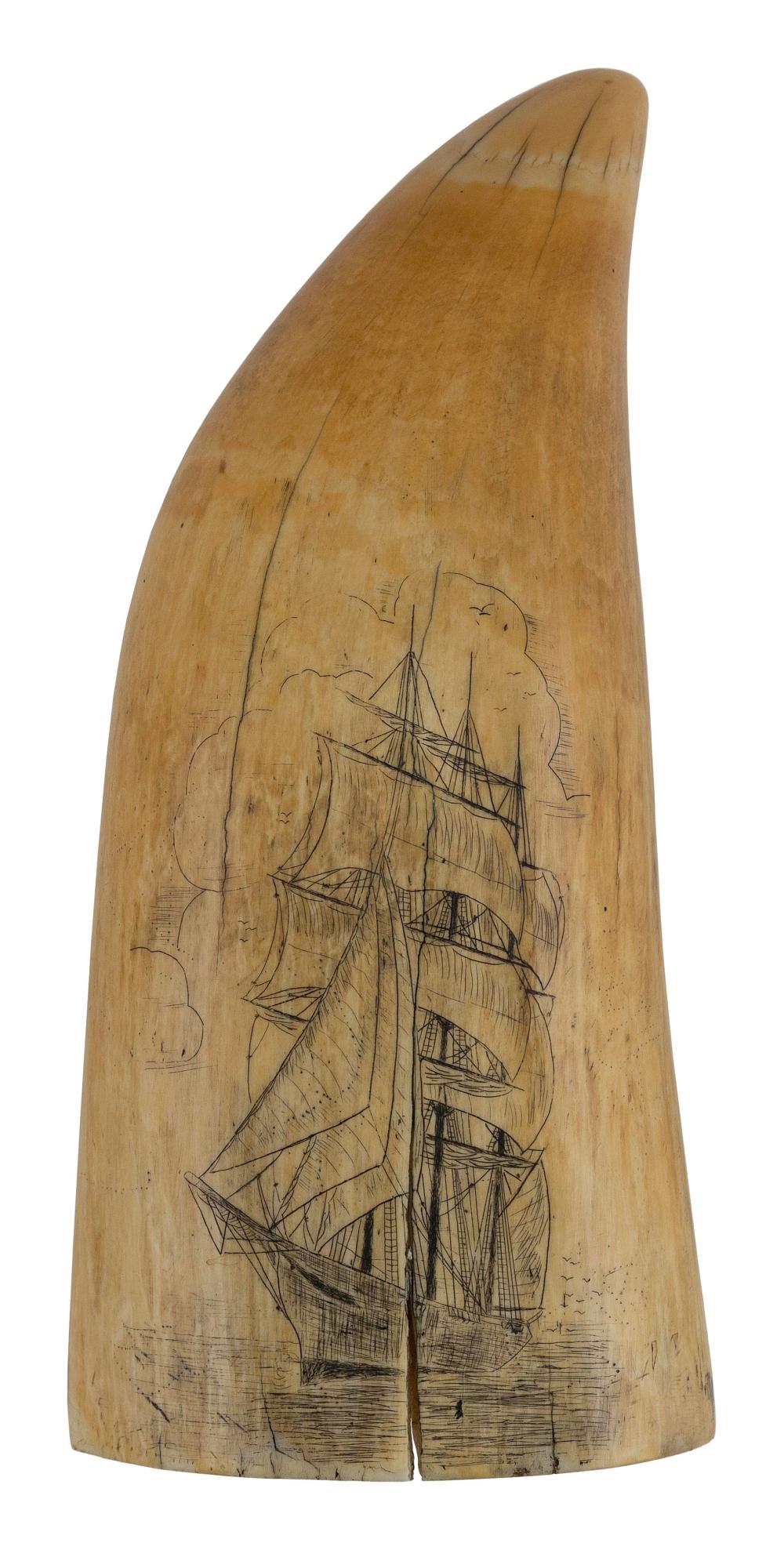 SCRIMSHAW WHALE S TOOTH LATE 2f1a46