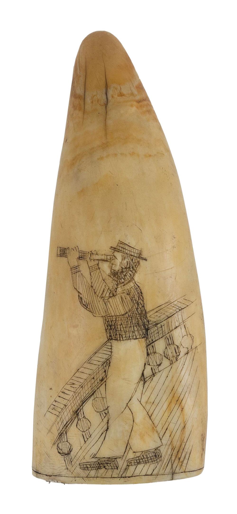 SCRIMSHAW WHALE S TOOTH LATE 2f1a4d