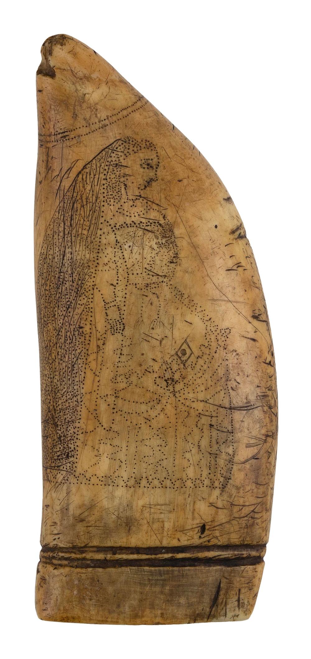 SCRIMSHAW WHALE S TOOTH FIRST 2f1a48