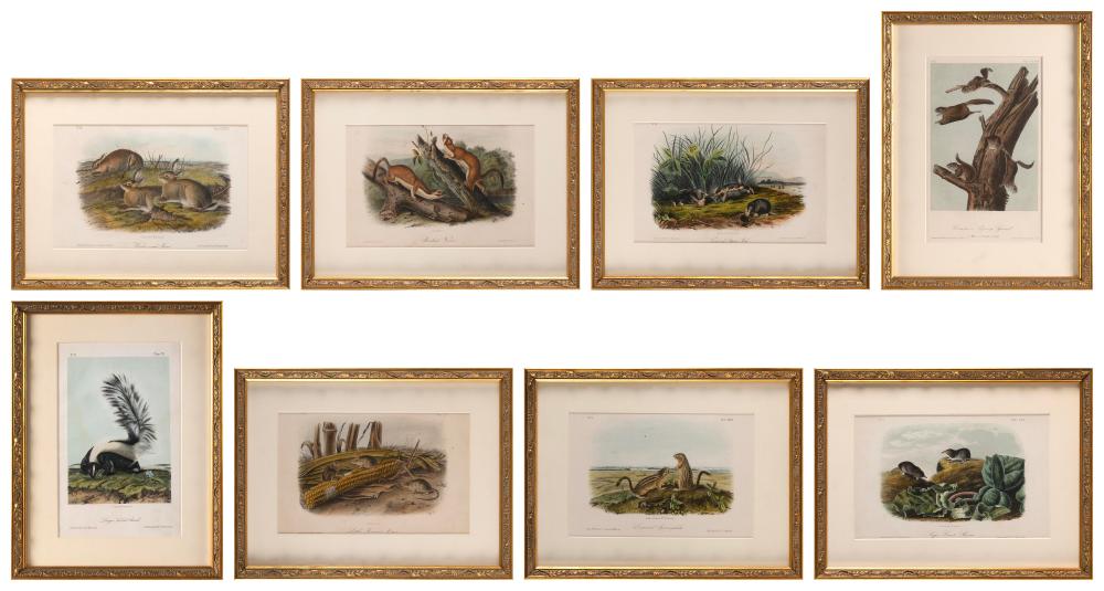 EIGHT AUDUBON PRINTS LITHOGRAPHS WITH