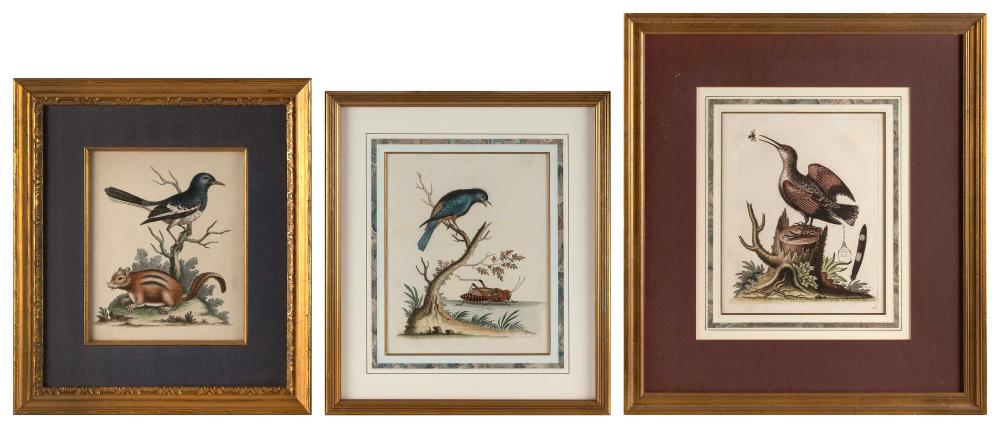 THREE HAND-COLORED ENGRAVINGS BY
