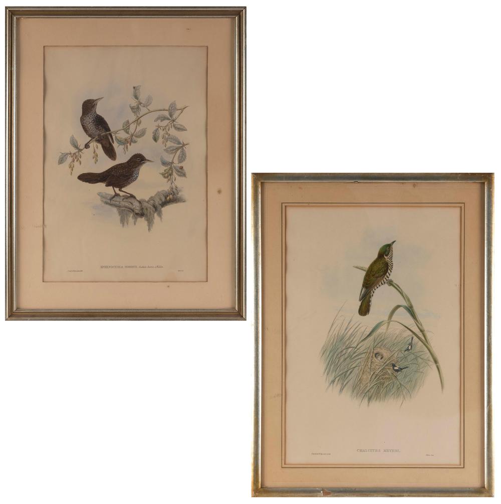 TWO HAND-COLORED LITHOGRAPHS BY