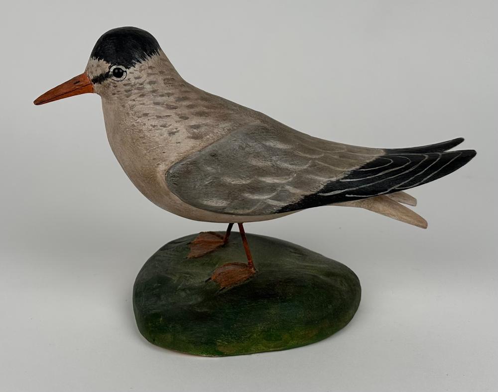 CROWELL-STYLE LEAST TERN CARVING