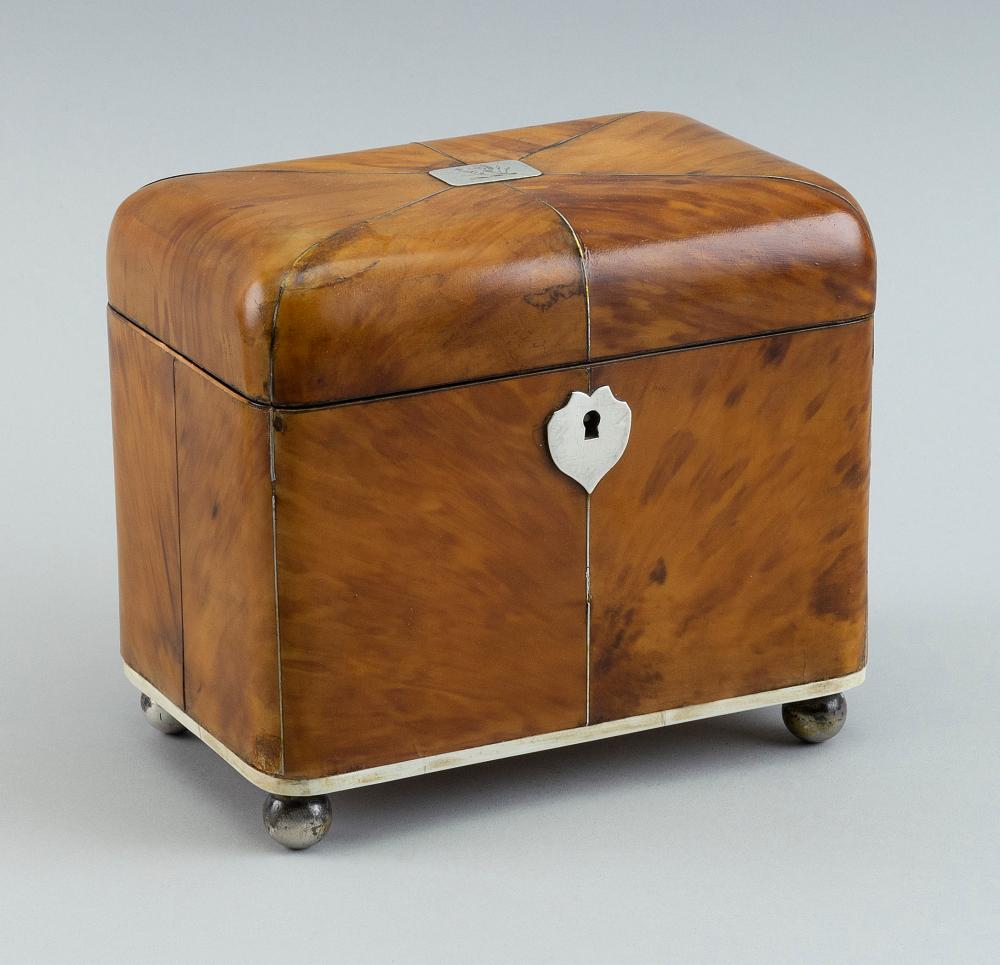 ENGLISH SHELL TEA CADDY 19TH CENTURY 2f2500