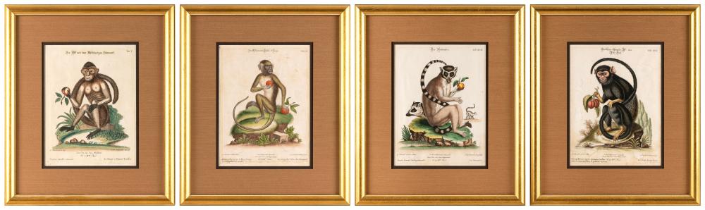 SET OF FOUR HAND COLORED ENGRAVINGS 2f0e82