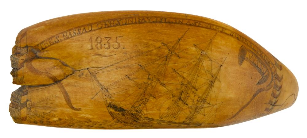 EARLY POLYCRHOME SCRIMSHAW WHALE S 2f280c