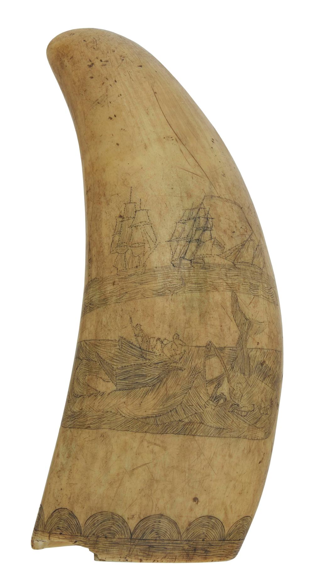 SCRIMSHAW WHALE S TOOTH WITH STOVED 2f285e
