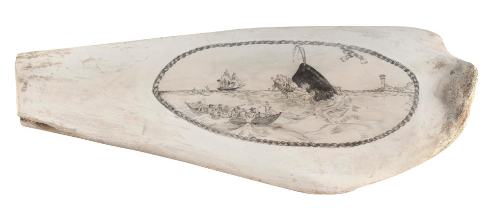  ENGRAVED SECTION OF WHALE JAW 2f28a9