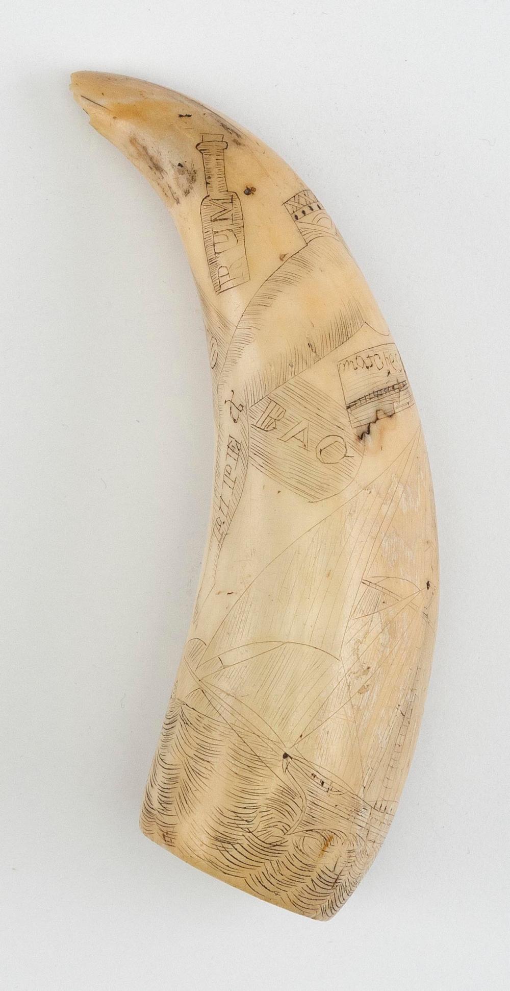 SCRIMSHAW WHALE S TOOTH SECOND 2f28ba