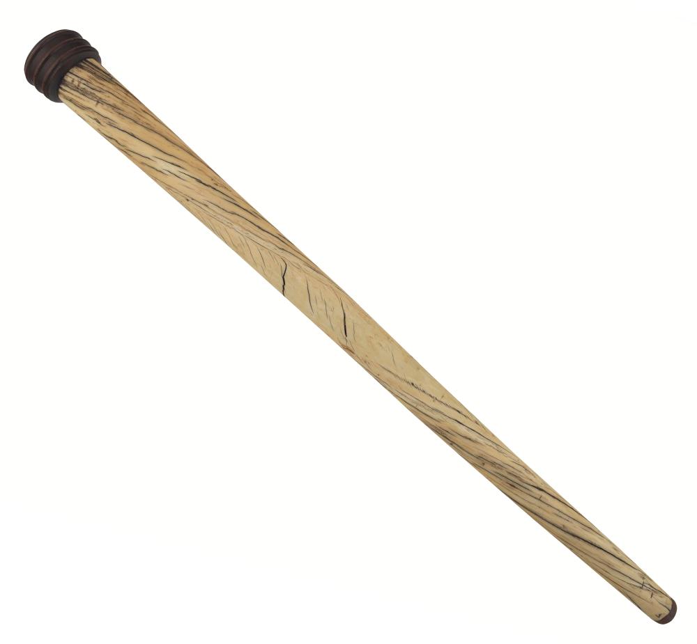 WALKING STICK MADE FROM A SECTION