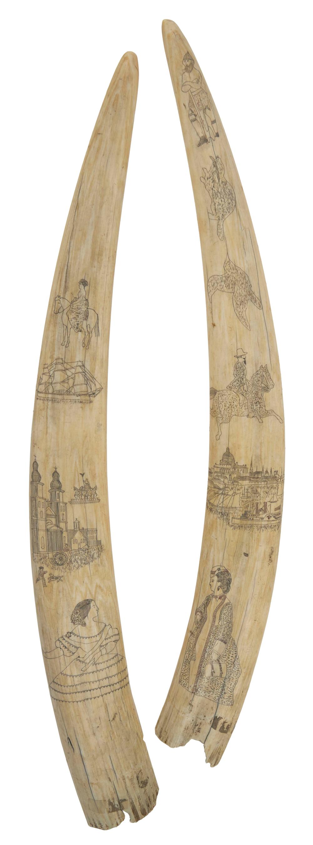 PAIR OF SCRIMSHAW WALRUS TUSKS